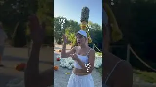 ✨ Обучение на выезде — это секретный способ обмануть наш мозг!