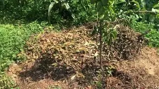 Мой приствольный круг.