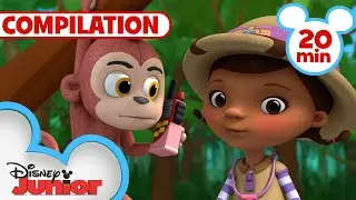 Doc McStuffins Ultimate Safari 🐯 | 20 Minute Compilation | Doc McStuffins | 