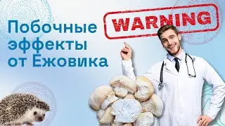 Важная информация: Противопоказания к приему Ежовика от EVALITE.Superfood
