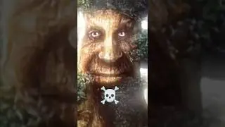 tree mem 