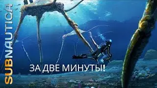 ГДЕ НАЙТИ МОРСКИХ ТОПТУНОВ? - subnautica