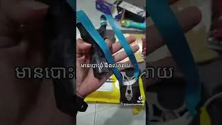 មានបោះដុំ តម្លៃពិសេស