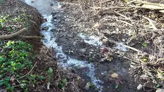 Creek on Landfill