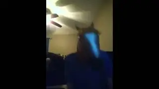 Horse Metal