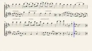 Flute and Clarinet Duet Compilation