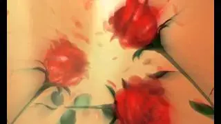 Футаж Розы на свету