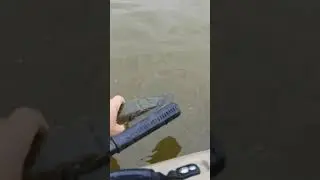 Sokol FISH HUNTER
