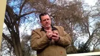 Crystal Spurs demo