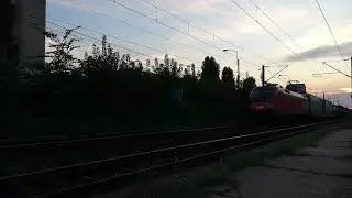 QBB