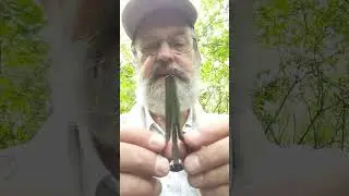 Обзор "крученого" варгана среднего тона мастера из Коми Андрея Киселева