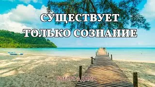 Существует только сознание - Роберт Адамс