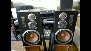 ДИАТОН Акустика diatone DS 73 D
