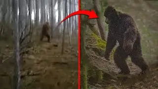 Horrific Discoveries In Jungle That Will Blow Your Mind