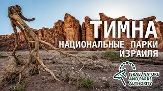 Заповедник Тимна | По дороге в Египет