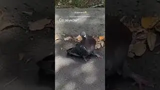 Простите😂