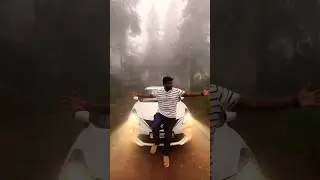 Lost in mist 😍Dreamland #shorts #hillstation #yercaud #mist