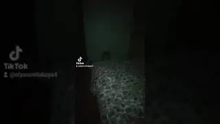 Тик ток Оля