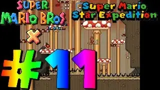 SMBX TheXTech | Super Mario Star Expedition #11