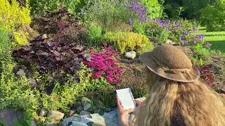 READ WITH ME | 45 min of Reading with Nature Sounds 🌻