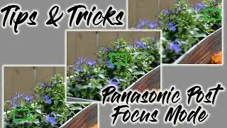 Tips & Tricks - Panasonic Post Focus Mode