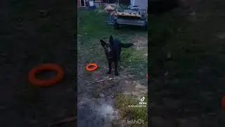 зима не за горами, разбор ошибок #сургут86