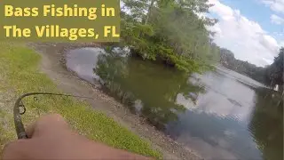 Bass Fishing the Villages, Florida