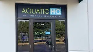 Aquatic HQ Visit, Corals, Lights, and a Long Drive
