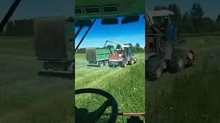 Силосование 2022
