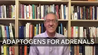 Adaptogens - Food For Your Adrenals