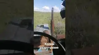 косим разнотравие, лесные поляны