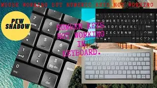 How to fix Number keys not working on Keyboard in windows 10/8/7 (2020).