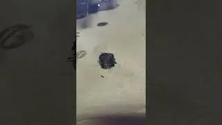 део сенс развалился вторичный вал в кпп