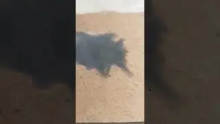 Реакция Магния и Диоксида Свинца 