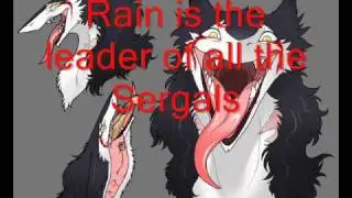 Sergal Slideshow