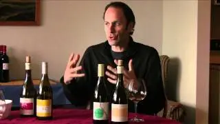 Natural Wine Yeast? Wild Yeast? Feral Yeast? What Does This All Mean.  Lioco (4 of 6)