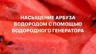 Насыщение арбуза водородом с помощью водородного генератора