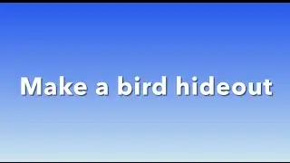 Make a bird watching hideout
