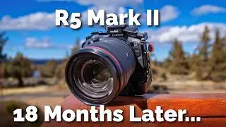 R5 Mark II: Brutally Honest Long Term Review