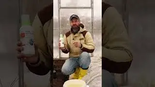 Удобрение комплексное жидкое Белвито для голубики.