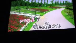 V(ボルト)/遊助/カラオケ動画