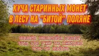 Нашел кошелёк 