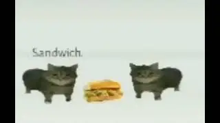 Sandwich meme