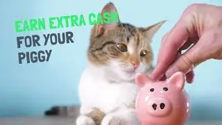 Qmee is a super EASY way to EARN MONEY!