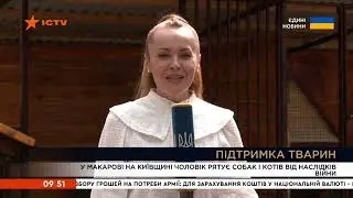 Мій пес Дюк