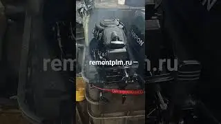12 апреля 2024 г.