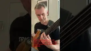 Fretless groove.. #bassplayer #learnbass #bass
