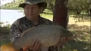 Рыбалка Basa Astoria