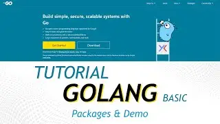 Tutorial Golang - Packages & Demo Project #6