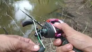 Fishing for Snakehead Fish with My Friends